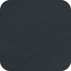 Black (в комплекте)